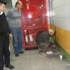 Yavruyken girdiği delikte sıkışan kedi 5 yıl sonra kurtarıldı