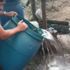 Adana’da 2 bin litre sahte içki ele geçirildi