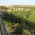 Dicle Nehri'nde balık tutan genç akıntıya kapıldı Dicle Nehri'nde balık tutan genç akıntıya kapıldı