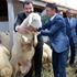 Covid -19 a karşı "kuzu eti" önerisi