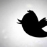 Twitter paylaşımcıları PKK’lı çıktı
