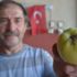Görenler hayretler içerisinde kalıyor! Sakallı elma... Görenler hayretler içerisinde kalıyor! Sakallı elma...