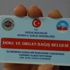 A’dan Z’ye organ bağışı