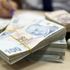1274 projeye 245 milyon lira hibe desteği 1274 projeye 245 milyon lira hibe desteği