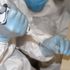 Günlük koronavirüs test sayısının önümüzdeki hafta 50 bine ulaşması hedefleniyor Günlük koronavirüs test sayısının önümüzdeki hafta 50 bine ulaşması hedefleniyor