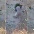 Polisi şehit eden teröristler böyle etkisiz hale getirildi