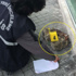 Hamile kadın ve karnındaki bebeğin akılalmaz ölümü