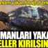 Yürekleri yakan fotoğraf geldi. Ormanları yakan eller kırılsın Yürekleri yakan fotoğraf geldi. Ormanları yakan eller kırılsın