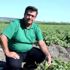Kırkağaç kavunu AB den coğrafi işaret almaya hazırlanıyor