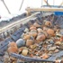 Extension Of Byzantine-era Harbor Discovered