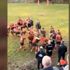Rugby müsabakası sırasında arbede çıktı… O anlar kamerada