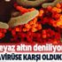 Beyaz altın deniliyor fiyatı 4 kat arttı! Koronavirüse karşı oldukça etkiliydi! Dikimi yeniden başladı