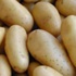 Patates neden 5 TL oldu? Büyük vurgun