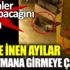 ﻿Şehre inen ayılar apartmana giremeye çalıştılar