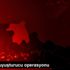 Sinop ta uyuşturucu operasyonu