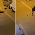 Yol ortasında kadına şiddet Yol ortasında kadına şiddet