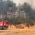 Uşak'ta orman yangını Uşak'ta orman yangını
