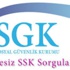 SSK - SGK Prim sorgulama - Hizmet Dökümü - Tc kimlik no ile sorgulama - E-devlet