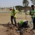 Büyükşehir’den Şarhöyük Mahallesine Park