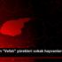 Tunceli nin "Vefalı" yürekleri sokak hayvanlarını ...