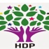 Sivas'ta HDP ilçe başkanına saldırı