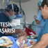 Harran Üniversitesi’nden dünyada bir ilk