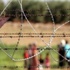 Sınırlardaki 217 bin mayın temizlenecek Sınırlardaki 217 bin mayın temizlenecek