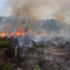 Valilik: Aydos’ta orman yangını 2 çocuk çıkardı