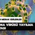Türkiye'de corona virüsü hangi ilde? Corona virüsü yayılma haritası nasıl takip edilir? Türkiye'de corona virüsü hangi ilde? Corona virüsü yayılma haritası nasıl takip edilir?
