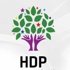 HDP'den küstah başvuru