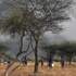 Kenya'da El Nino fırtınası: 100 ölü