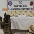 Van'da 24 kilo 100 gram esrar ele geçirildi Van'da 24 kilo 100 gram esrar ele geçirildi