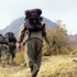 PKK Muş'ta iki kişiyi kaçırdı PKK Muş'ta iki kişiyi kaçırdı