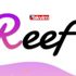 Reef coin nedir, nasıl alınır? REEF coin ne zaman çıktı? Kurucusu kim? Reef coin nedir, nasıl alınır? REEF coin ne zaman çıktı? Kurucusu kim?
