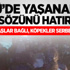 ODTÜ'de Camiye Giden Öğrencilere Saldırı