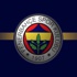 Fenerbahçe seri başı