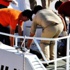 Bodrum'da Denizde 4 Ceset Bulundu Bodrum'da Denizde 4 Ceset Bulundu