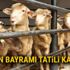 Kurban Bayramı ne zaman başlıyor | AREFE GÜNÜ NE ZAMAN | 2018 Kurban Bayramı Tatili Kaç Gün? Kurban Bayramı ne zaman başlıyor | AREFE GÜNÜ NE ZAMAN | 2018 Kurban Bayramı Tatili Kaç Gün?
