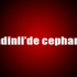 Şemdinli’de cephanelik