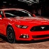 Efsane Mustang dört nala geliyor Efsane Mustang dört nala geliyor