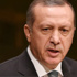 Erdoğan, saraya dair kafa karışıklıklarını giderdi