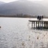 "Sapanca Gölü'nde su seviyesi 1,5 metre yükseldi" "Sapanca Gölü'nde su seviyesi 1,5 metre yükseldi"