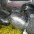 Gaziantep'te 67 kilo esrara 2 tutuklama