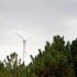 Bu kampüs tüm elektrik ihtiyacını rüzgardan karşılayacak