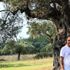 Hobi amaçlı satın aldığı tarlanın içindeki zeytin ağacı 3200 yıllık çıktı Hobi amaçlı satın aldığı tarlanın içindeki zeytin ağacı 3200 yıllık çıktı