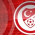 TFF'den Hacıosmanoğlu'na kınama TFF'den Hacıosmanoğlu'na kınama