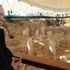 Göbeklitepe'de tarihi gün... Dünyanın gözü orada! Göbeklitepe'de tarihi gün... Dünyanın gözü orada!