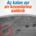 Balkodan düşen kadın hayatını kaybetti