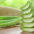 Bağışıklığa mucize şifa: Aloe vera! Sonbahara özel gıda takviyeleri
