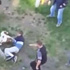 Çocuğu pitbull’dan böyle kurtardılar